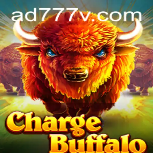 Exploring ChargeBuffalo: An Exciting New Adventure
